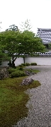 南禅寺 方丈の庭